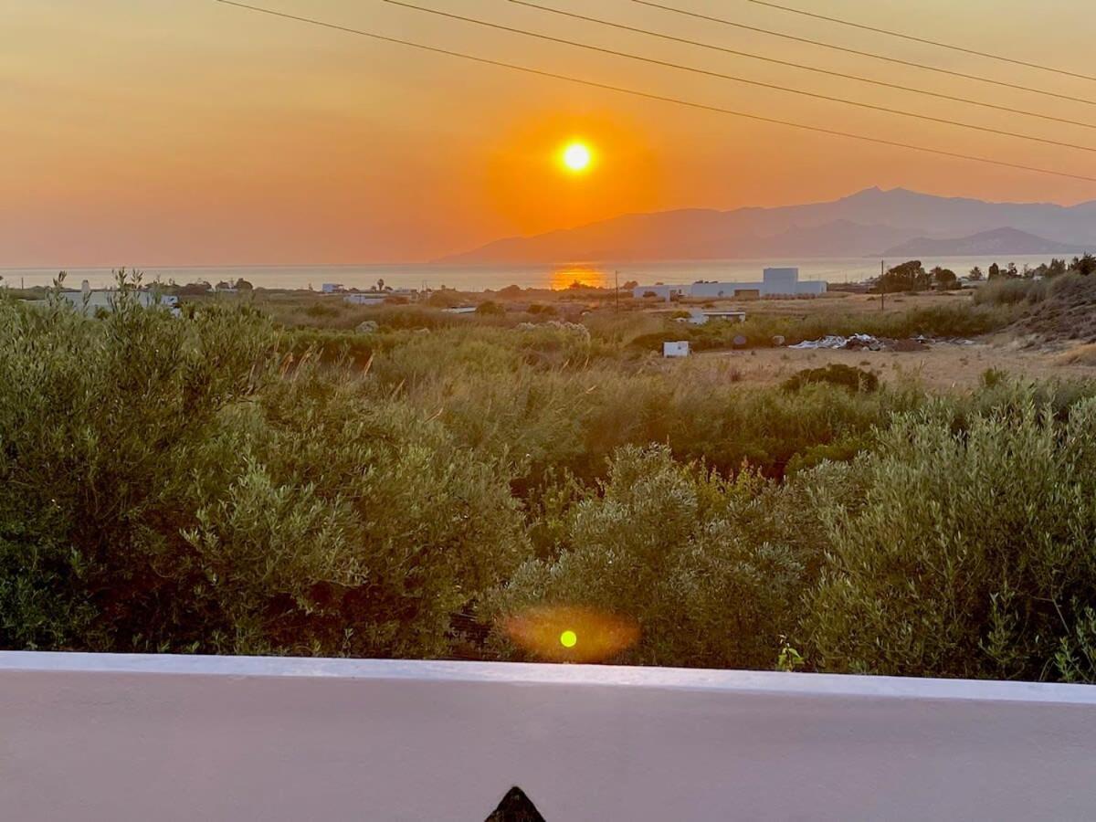 Apartment Amazing Blue Marsis In Paros *
